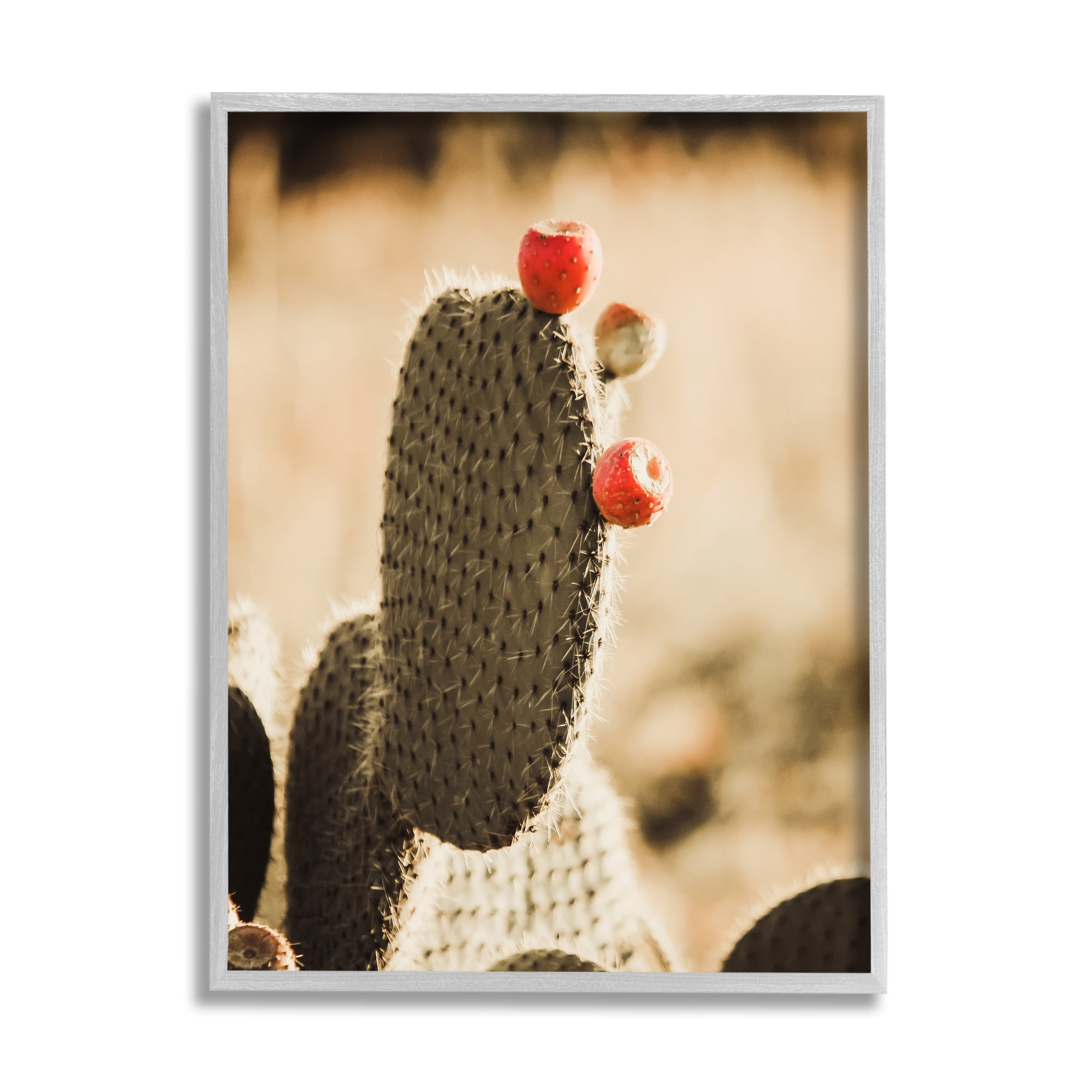 Stupell Prickly Pear Cactus Fruits Botanical & Floral Photography Gray Framed Art Print Wall Art