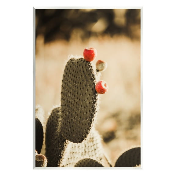 Stupell Prickly Pear Cactus Fruits Botanical & Floral Photography Wall Plaque Unframed Art Print Wall Art