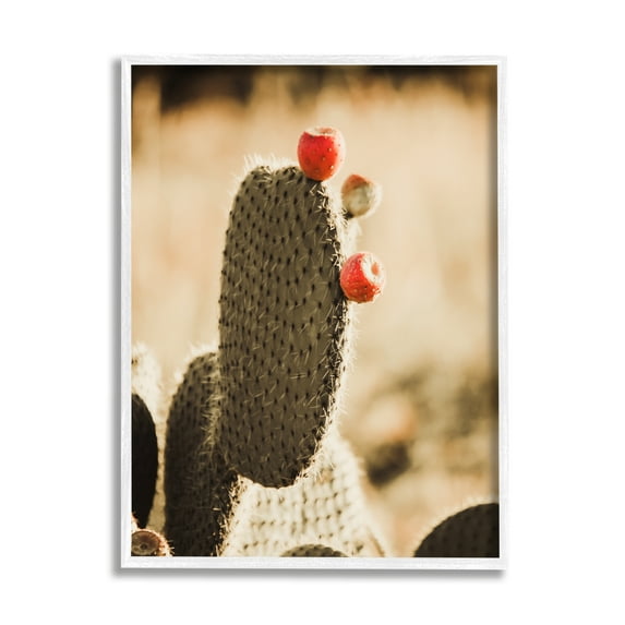 Stupell Prickly Pear Cactus Fruits Botanical & Floral Photography White Framed Art Print Wall Art