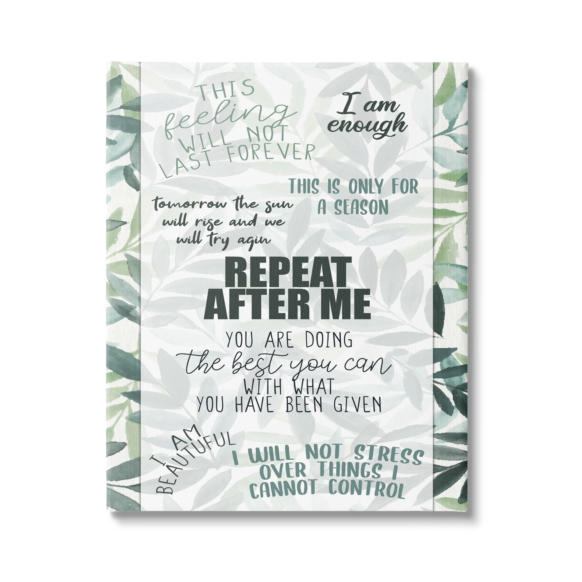 Stupell Repeat After Me Uplifting Motivational Botanical & Floral Painting Gallery Wrapped Canvas Print Wall Art
