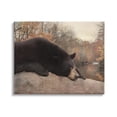 thumbnail image 1 of Stupell Resting Bear Autumn Foliage Lake Animals & Insects Photography Gallery Wrapped Canvas Print Wall Art, 1 of 5
