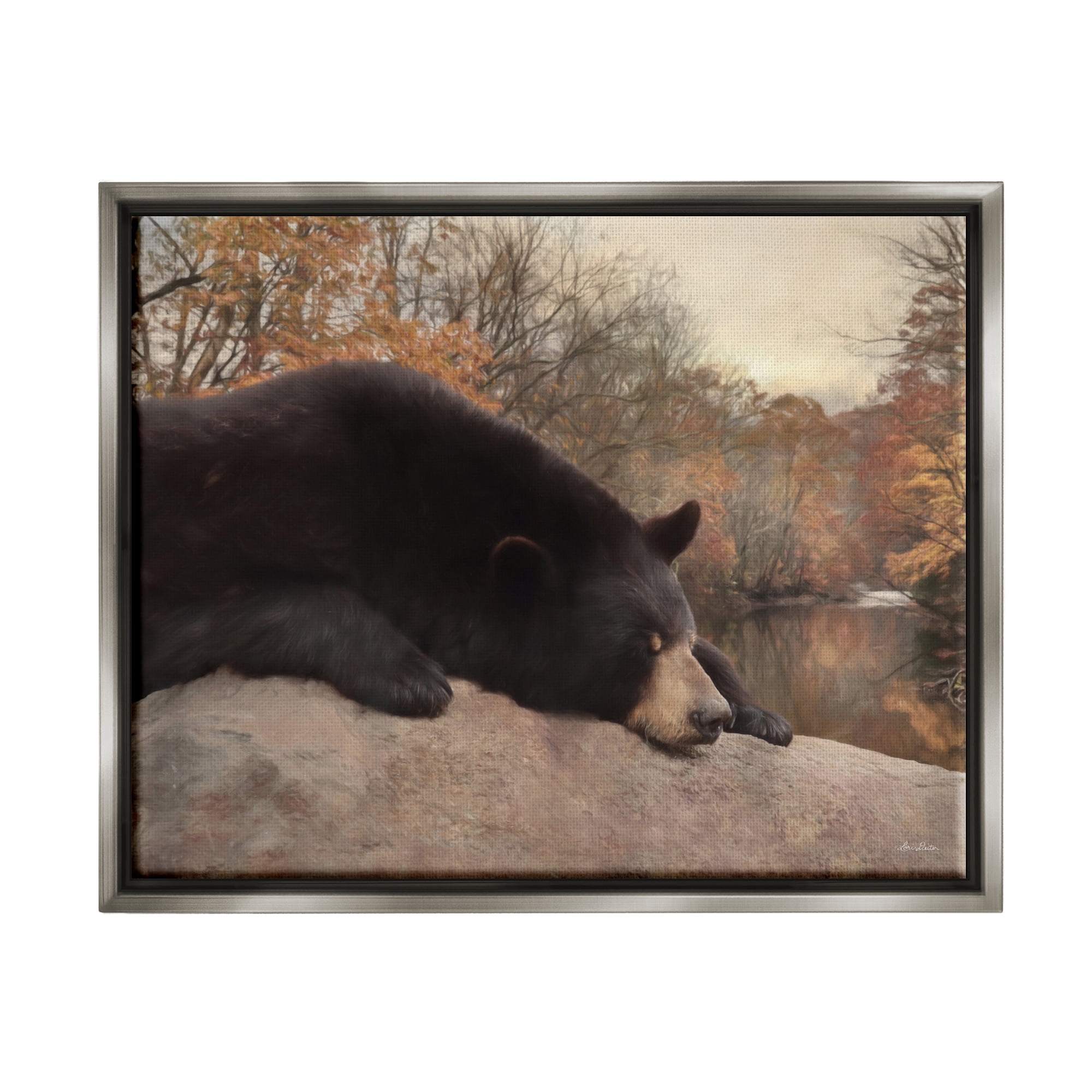 Stupell Resting Bear Autumn Foliage Lake Animals & Insects Photography Gray Floater Framed Art Print Wall Art