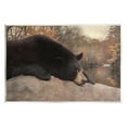thumbnail image 1 of Stupell Resting Bear Autumn Foliage Lake Animals & Insects Photography Wall Plaque Unframed Art Print Wall Art, 1 of 6