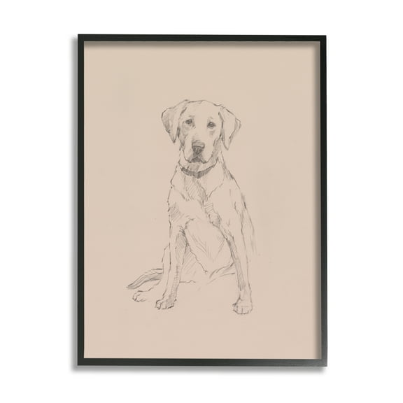 Stupell Retriever Drawing Animal Portrait Animals & Insects Drawing Black Framed Art Print Wall Art