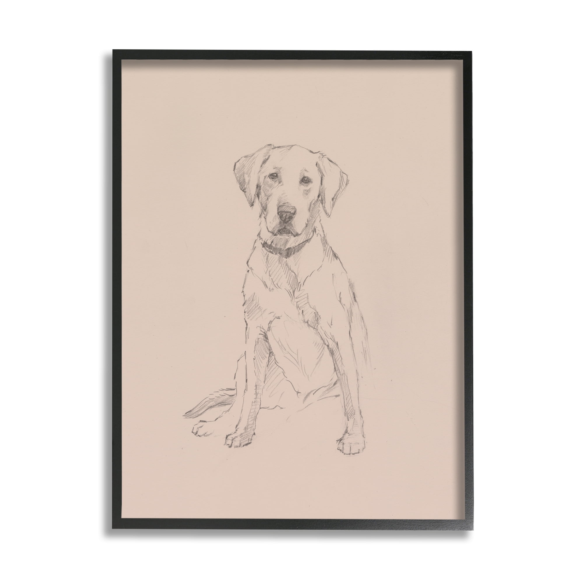Stupell Retriever Drawing Animal Portrait Animals & Insects Drawing Black Framed Art Print Wall Art