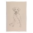 thumbnail image 1 of Stupell Retriever Drawing Animal Portrait Animals & Insects Drawing Wall Plaque Unframed Art Print Wall Art, 1 of 6