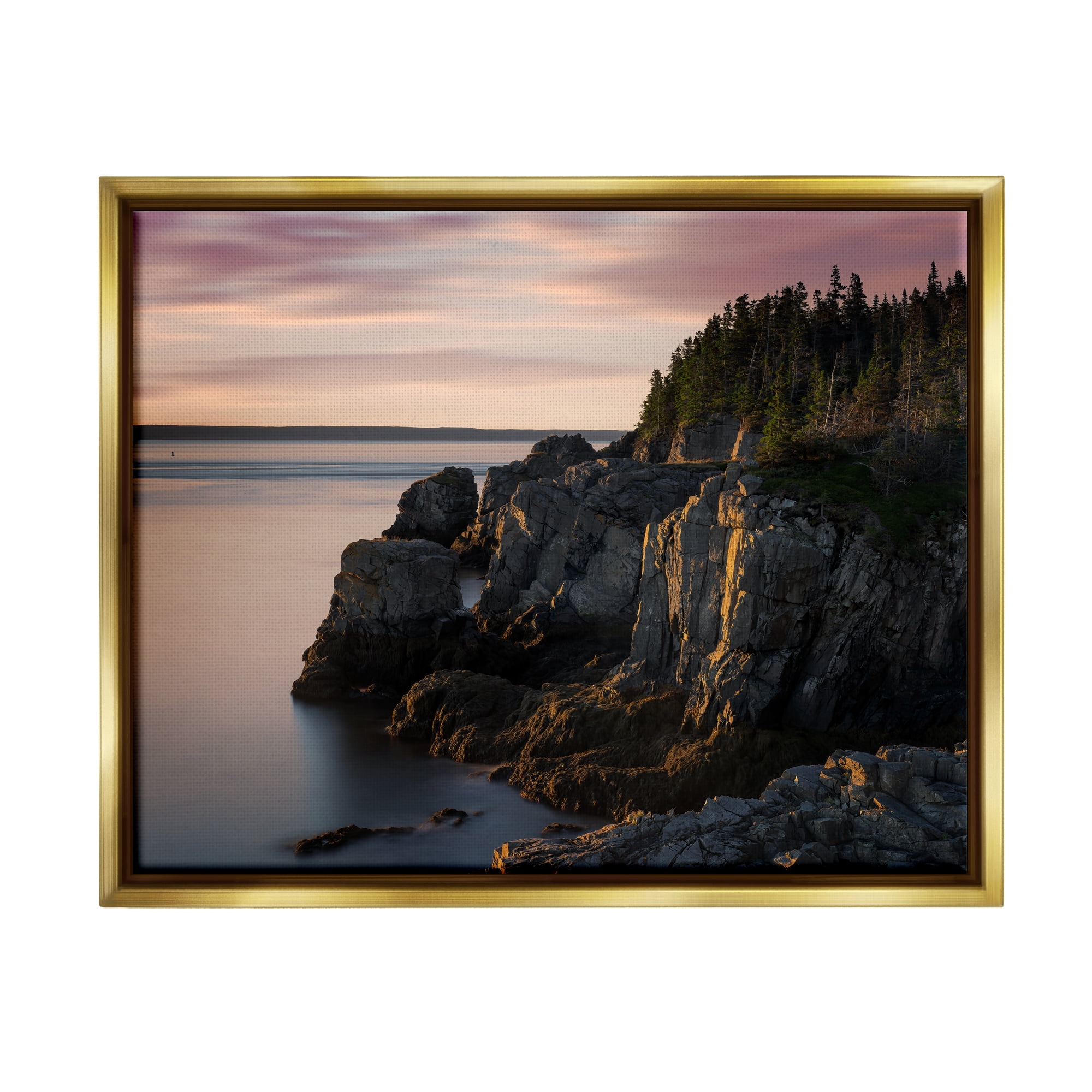 Stupell Rocky Cliff Seaside Nature Landscape Photography Gold Floater Framed Art Print Wall Art