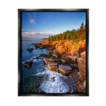 Stupell Rocky Cliffs Shore Beach Foam Landscape Photography Black Floater Framed Art Print Wall Art
