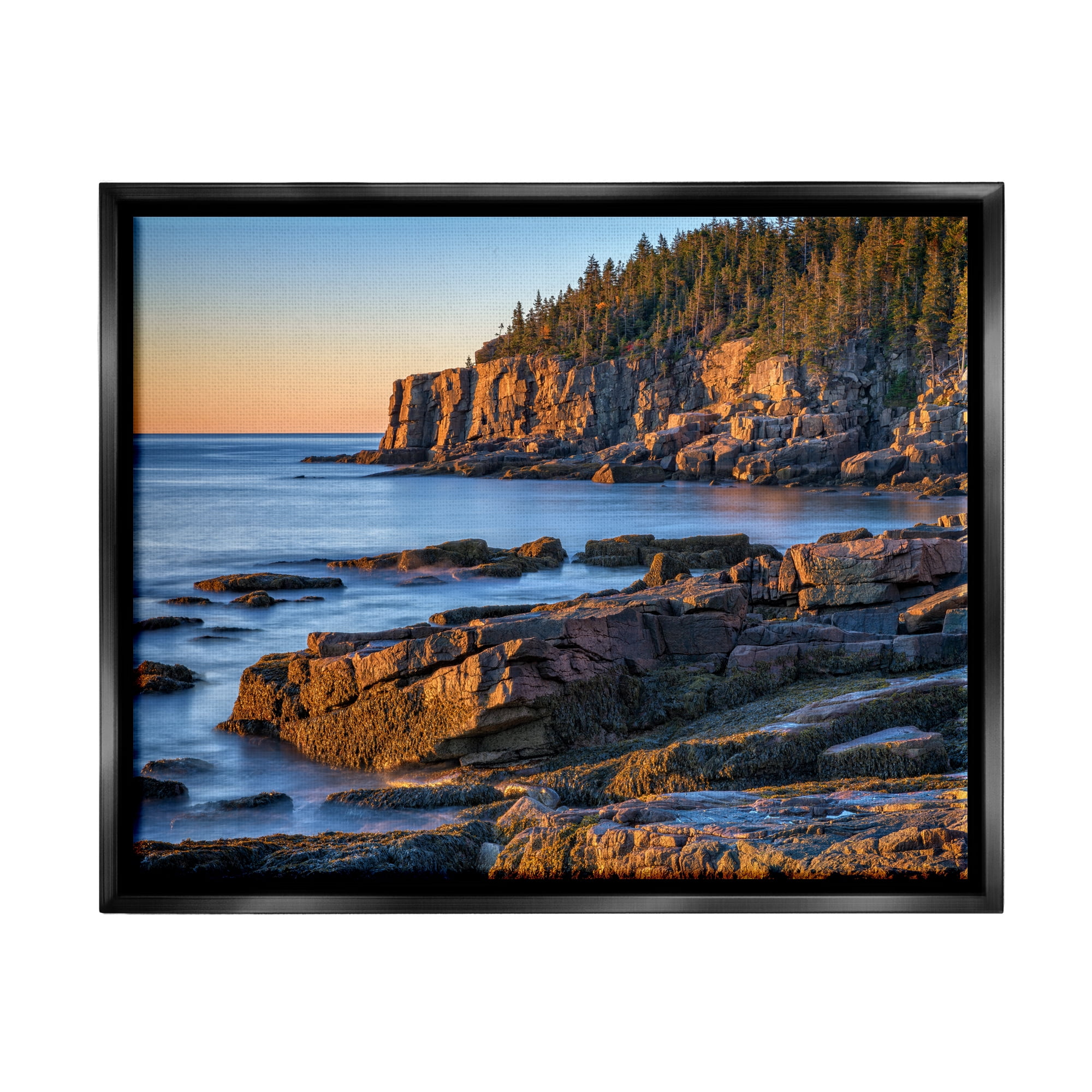 Stupell Rocky Cove Ocean Cliffs Landscape Photography Black Floater Framed Art Print Wall Art