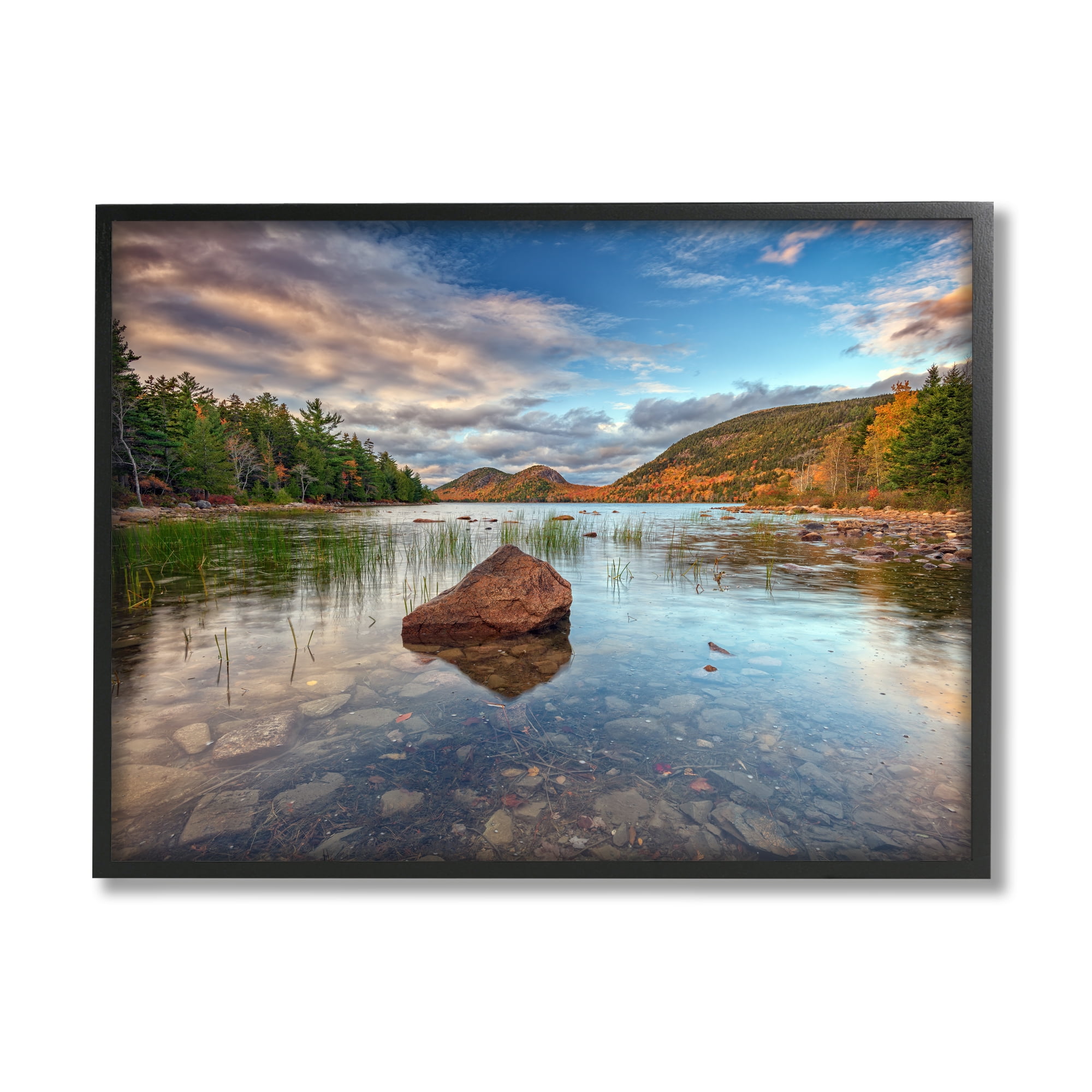 Stupell Rocky Creek Woodland Scenery Landscape Photography Black Framed Art Print Wall Art