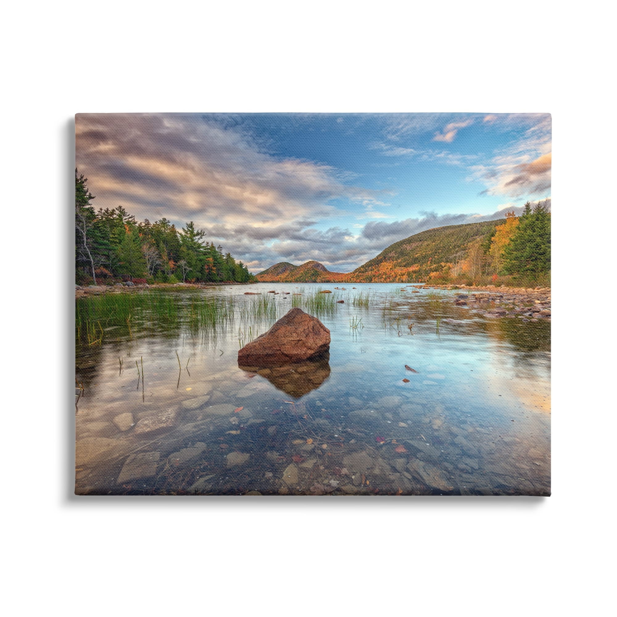 Stupell Rocky Creek Woodland Scenery Landscape Photography Gallery Wrapped Canvas Print Wall Art