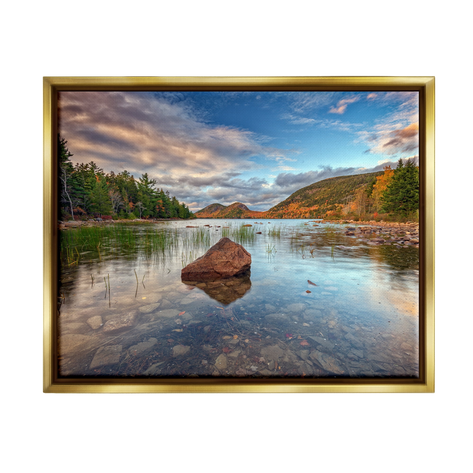 Stupell Rocky Creek Woodland Scenery Landscape Photography Gold Floater Framed Art Print Wall Art