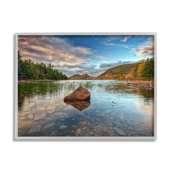 Stupell Rocky Creek Woodland Scenery Landscape Photography Gray Framed Art Print Wall Art