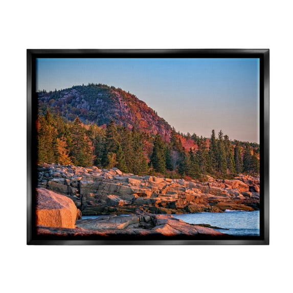 Stupell Rocky Seaside Mountain Cliff Landscape Photography Black Floater Framed Art Print Wall Art