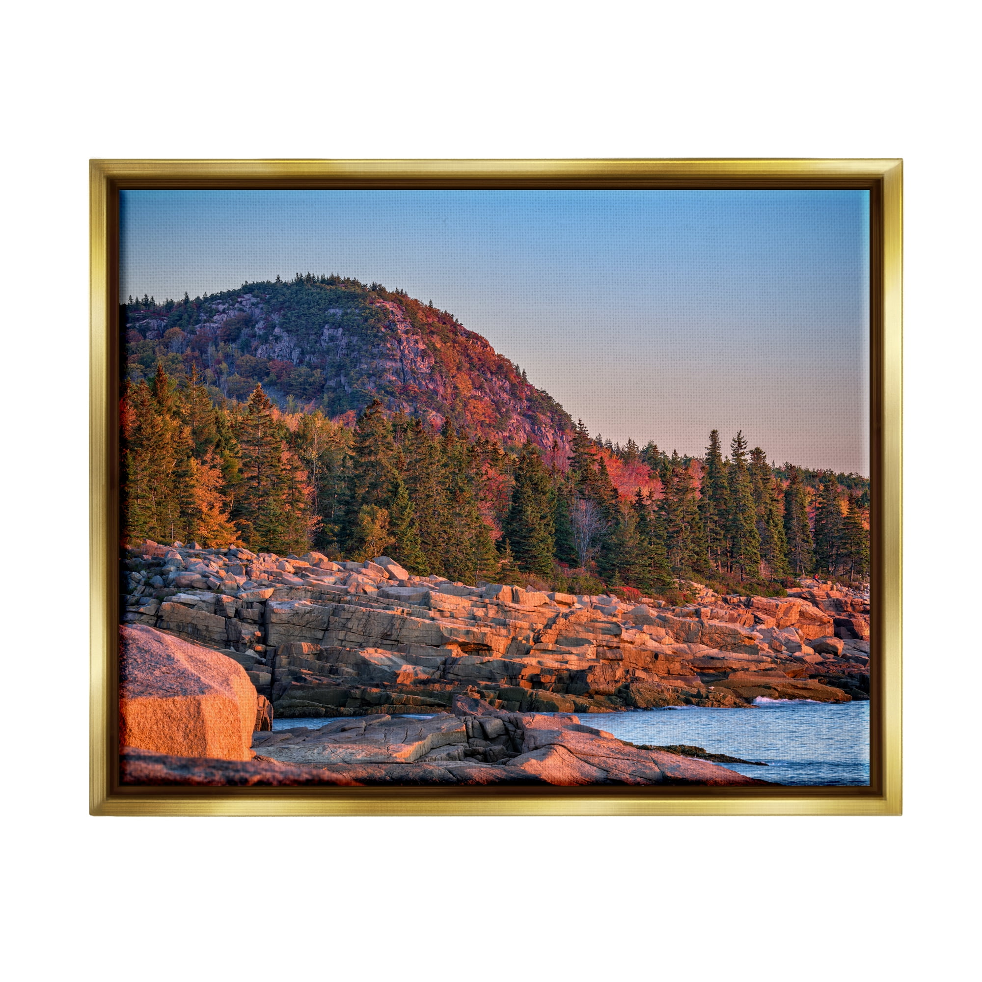 Stupell Rocky Seaside Mountain Cliff Landscape Photography Gold Floater Framed Art Print Wall Art