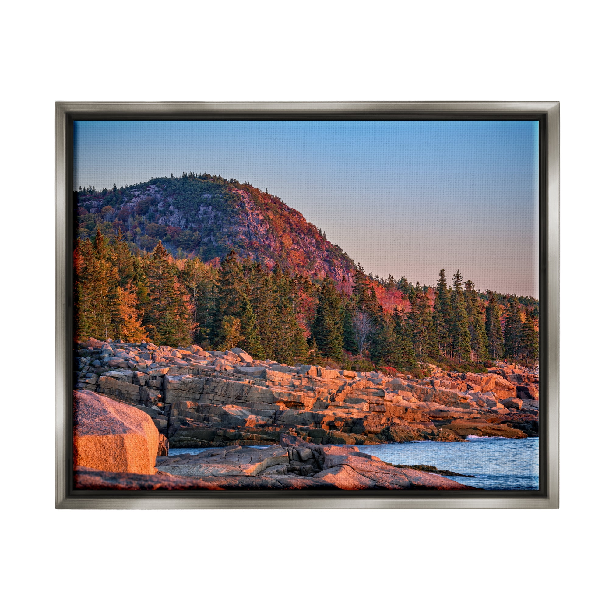 Stupell Rocky Seaside Mountain Cliff Landscape Photography Gray Floater Framed Art Print Wall Art