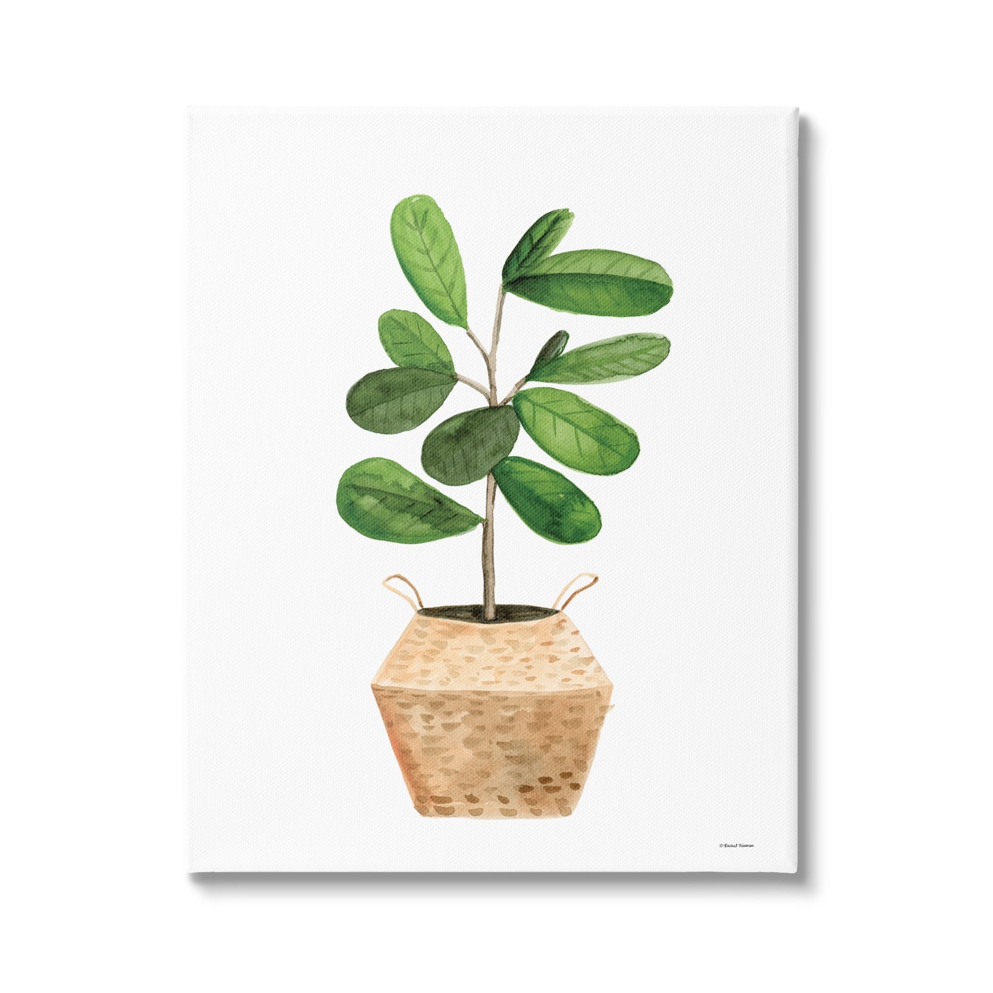 Stupell Round Green Leaves Planter Botanical & Floral Painting Gallery Wrapped Canvas Print Wall Art