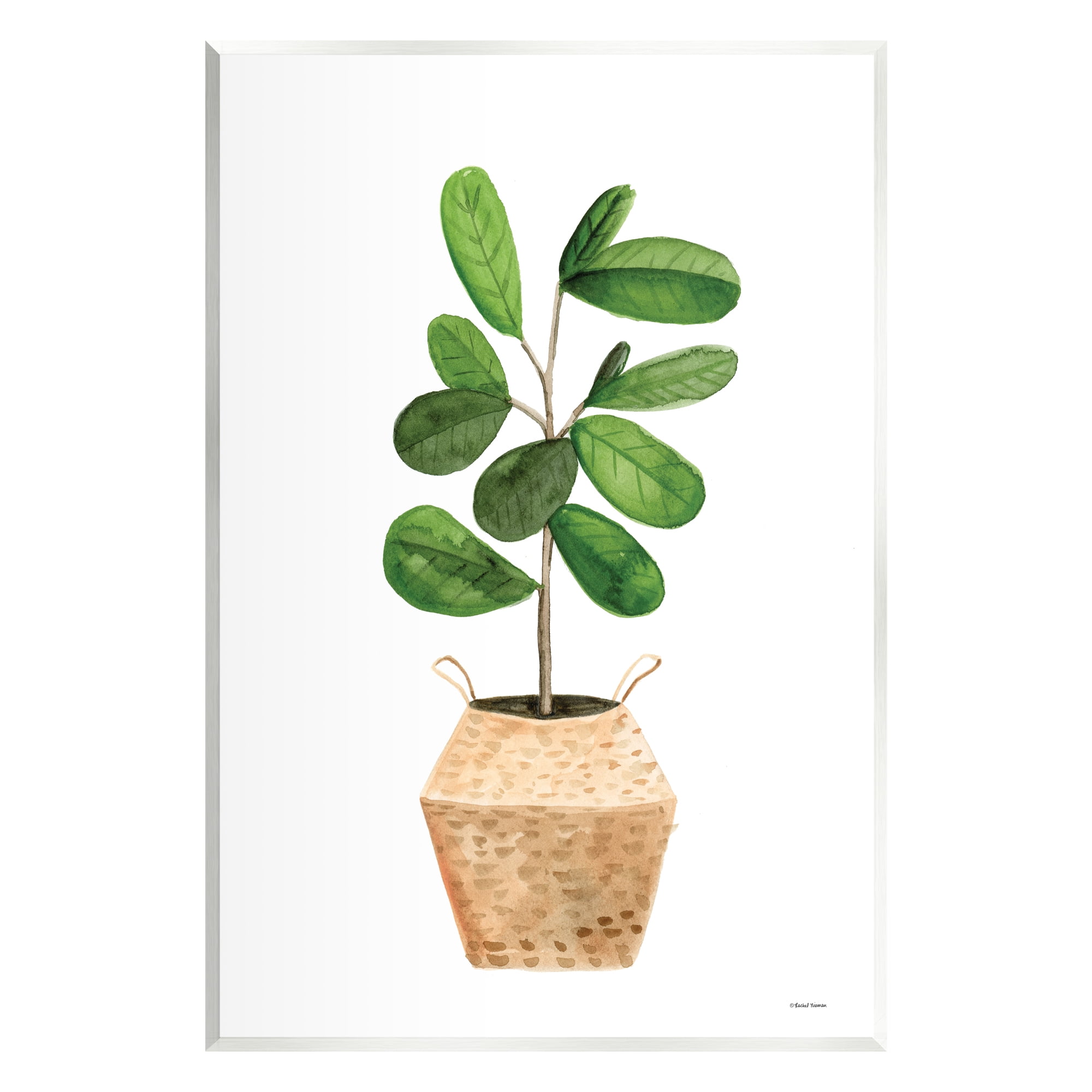 Stupell Round Green Leaves Planter Botanical & Floral Painting Wall Plaque Unframed Art Print Wall Art
