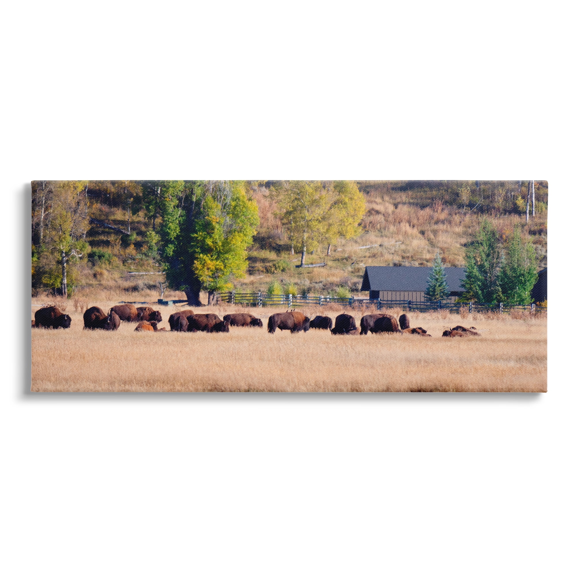 Stupell Rural Bison Wildlife Pasture Animals & Insects Photography Gallery Wrapped Canvas Print Wall Art
