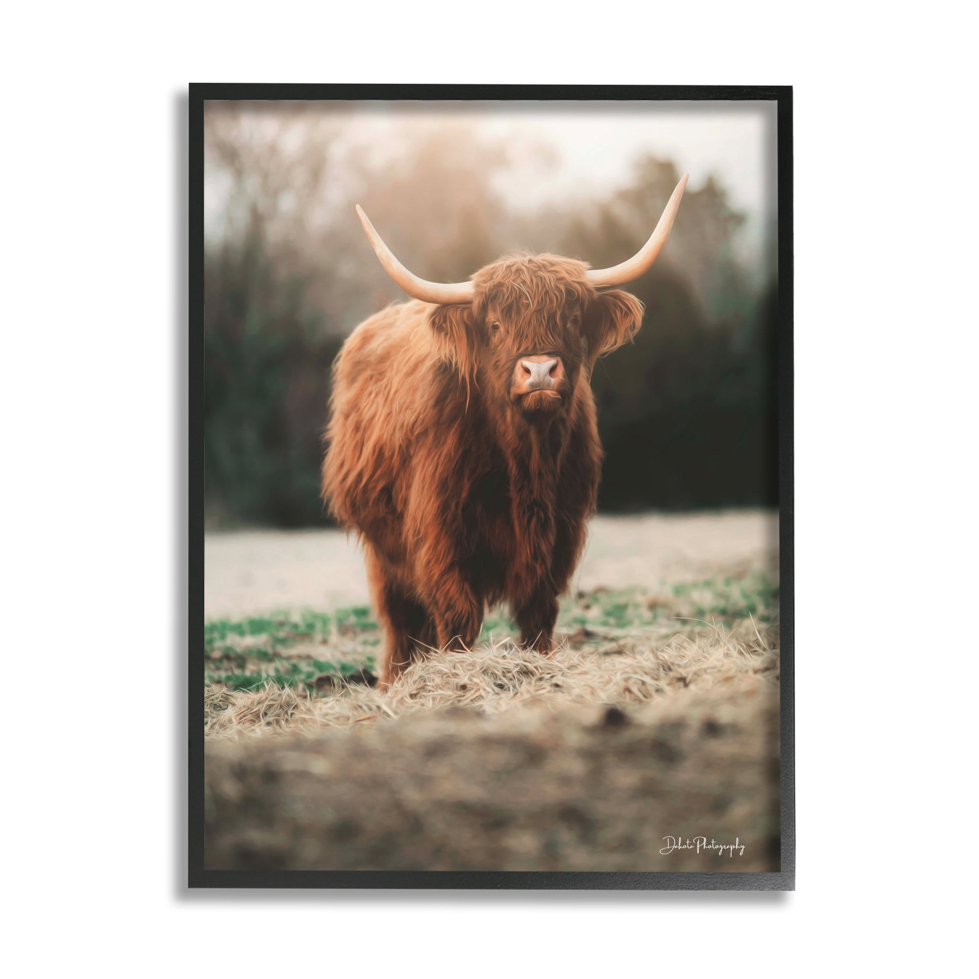 Stupell Rural Farm Pasture Cattle Animals & Insects Photography Black Framed Art Print Wall Art