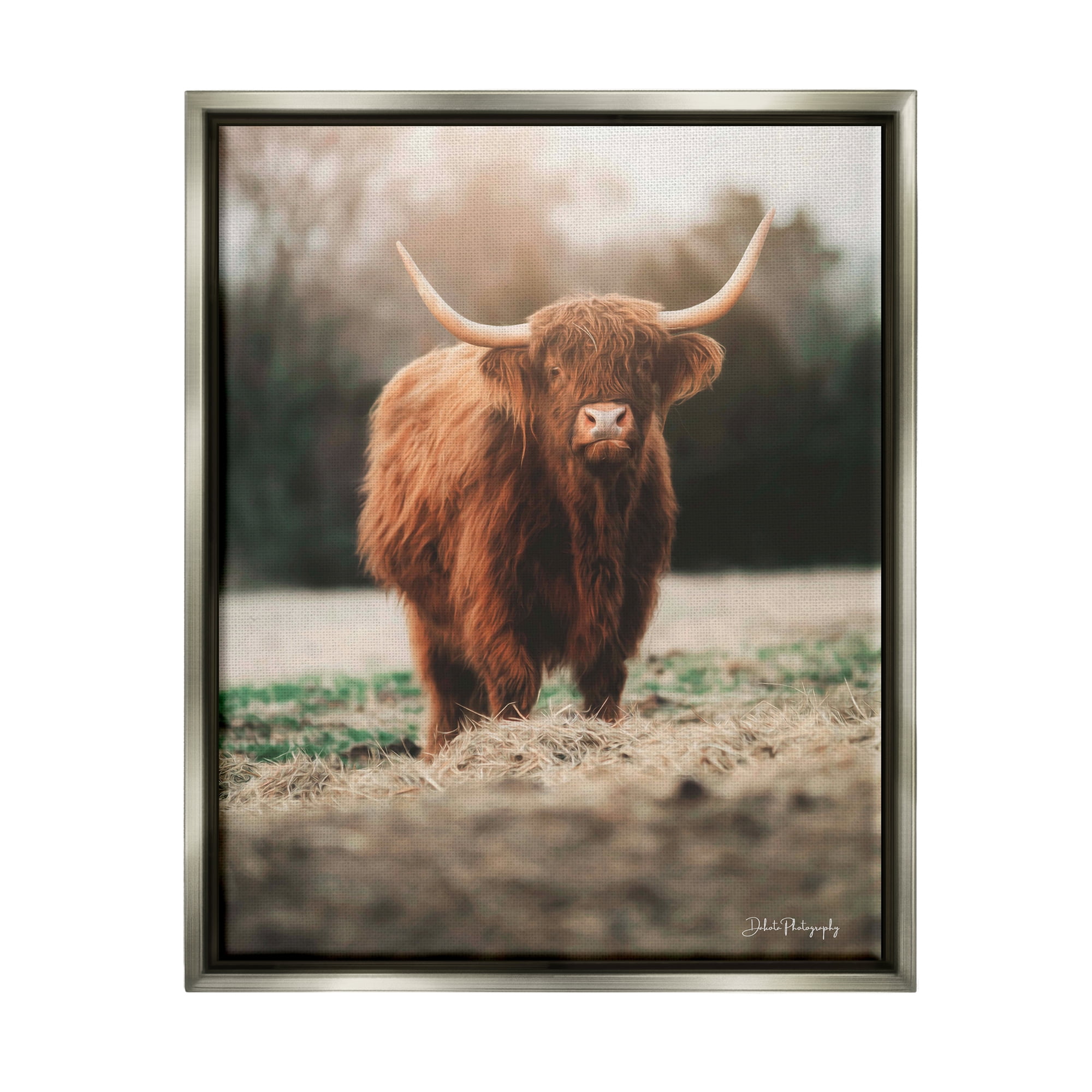 Stupell Rural Farm Pasture Cattle Animals & Insects Photography Gray Floater Framed Art Print Wall Art