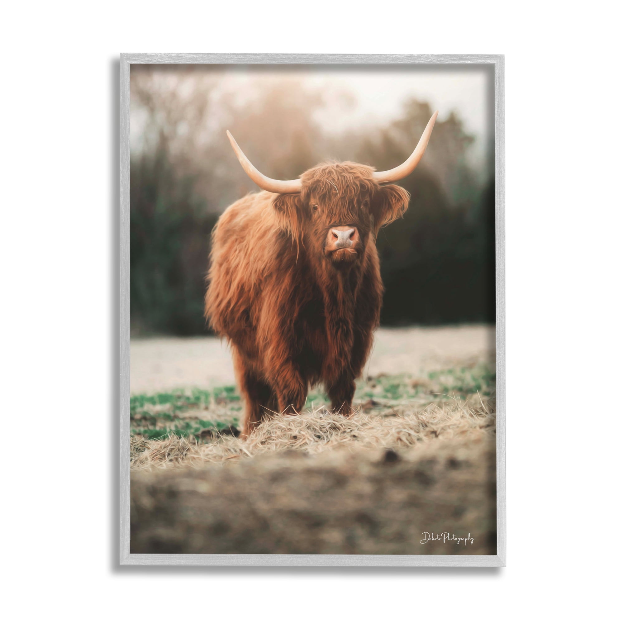 Stupell Rural Farm Pasture Cattle Animals & Insects Photography Gray Framed Art Print Wall Art