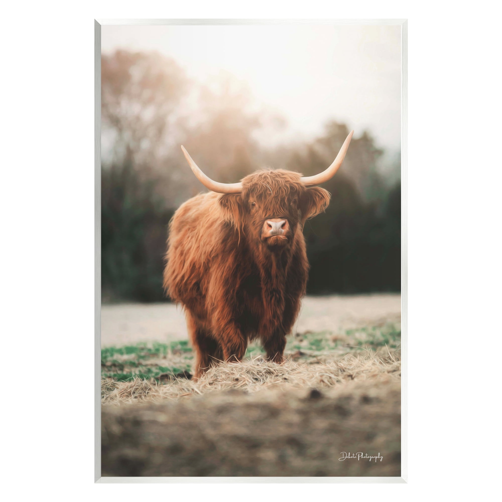 Stupell Rural Farm Pasture Cattle Animals & Insects Photography Wall Plaque Unframed Art Print Wall Art