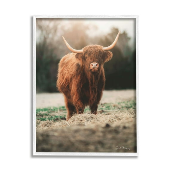 Stupell Rural Farm Pasture Cattle Animals & Insects Photography White Framed Art Print Wall Art