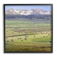 thumbnail image 1 of Stupell Rural Hay Bales Farm Pasture Landscape Photography Black Framed Art Print Wall Art, 1 of 7