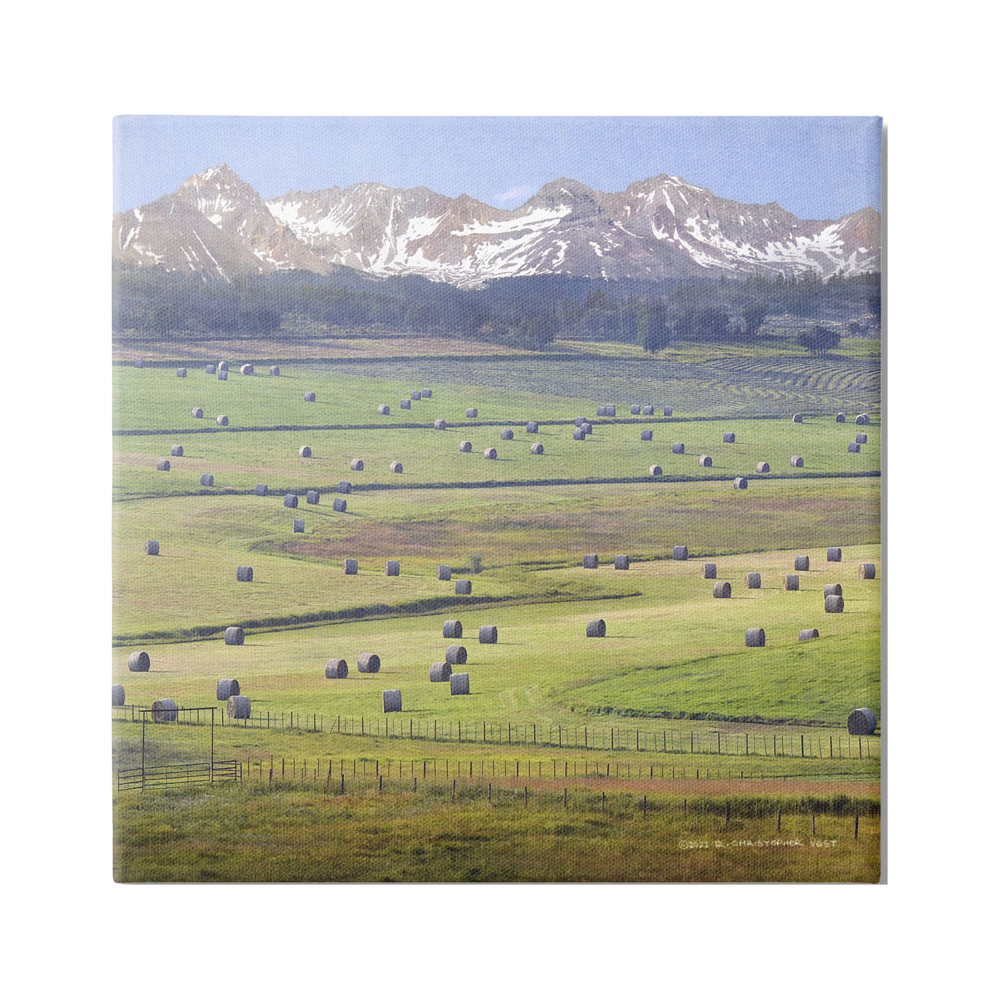 Stupell Rural Hay Bales Farm Pasture Landscape Photography Gallery Wrapped Canvas Print Wall Art