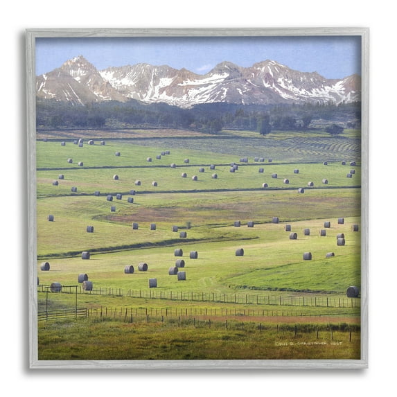 Stupell Rural Hay Bales Farm Pasture Landscape Photography Gray Framed Art Print Wall Art