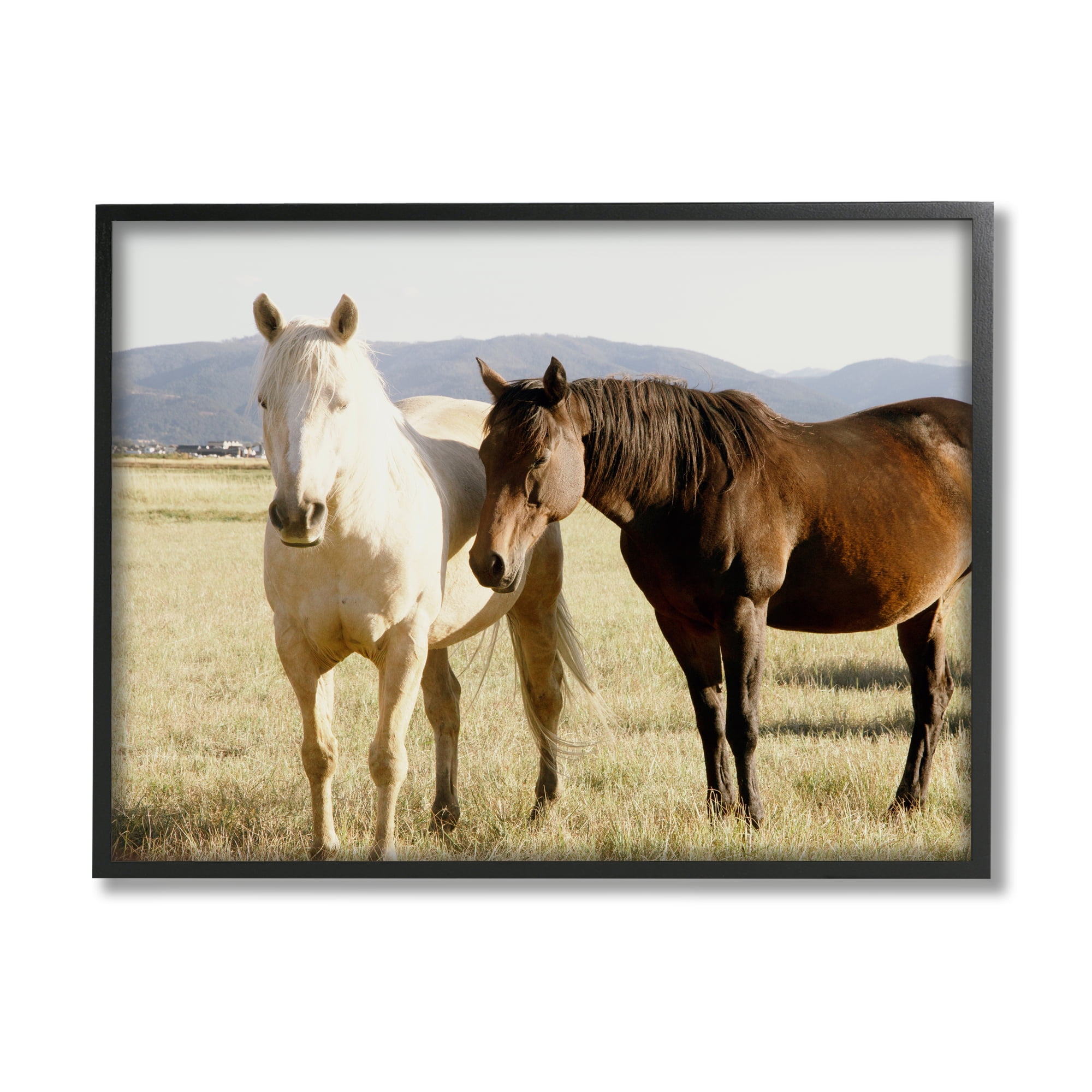 Stupell Rural Horses Animal Nature Photography Animals & Insects Photography Black Framed Art Print Wall Art