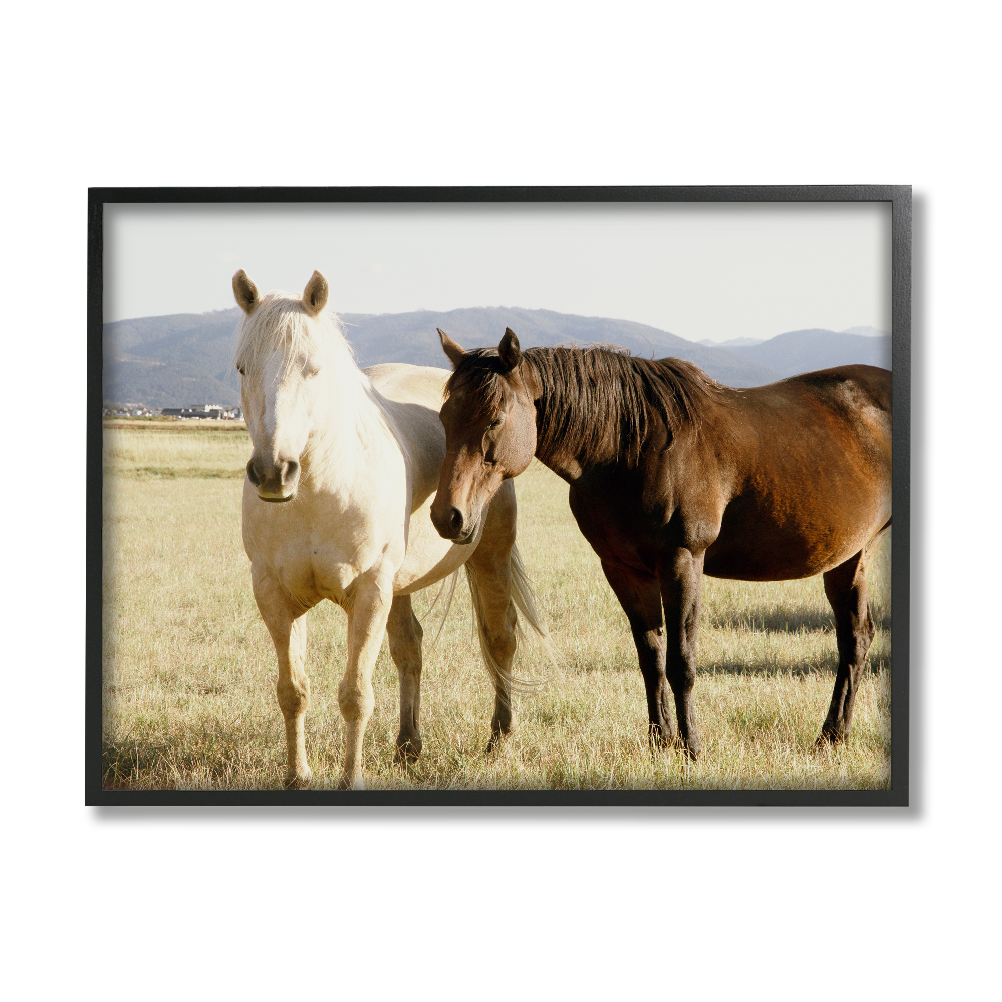 Stupell Rural Horses Animal Nature Photography Animals & Insects Photography Black Framed Art Print Wall Art