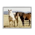 thumbnail image 1 of Stupell Rural Horses Animal Nature Photography Animals & Insects Photography Gray Framed Art Print Wall Art, 1 of 7