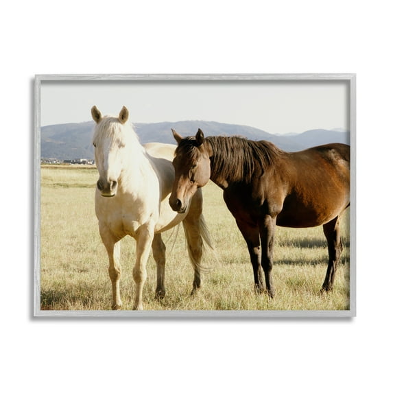 Stupell Rural Horses Animal Nature Photography Animals & Insects Photography Gray Framed Art Print Wall Art