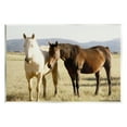 thumbnail image 1 of Stupell Rural Horses Animal Nature Photography Animals & Insects Photography Wall Plaque Unframed Art Print Wall Art, 1 of 6