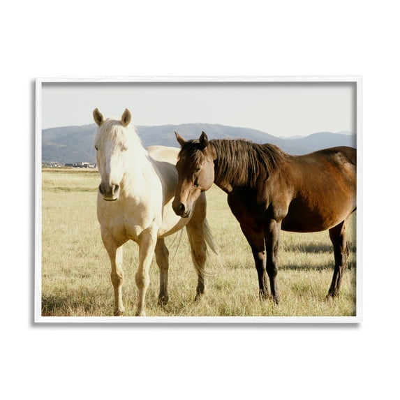 Stupell Rural Horses Animal Nature Photography Animals & Insects Photography White Framed Art Print Wall Art