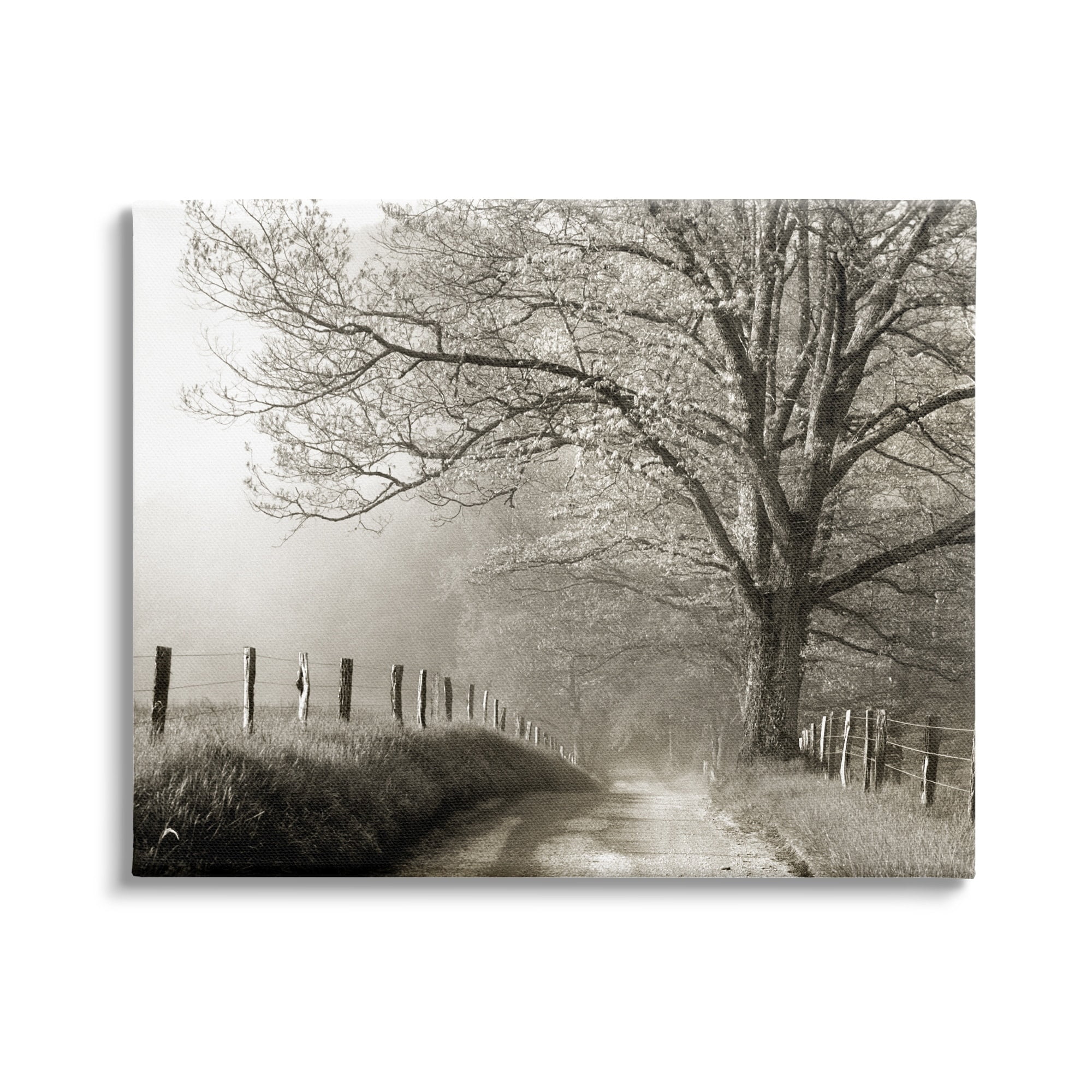 Large Black and White Canvas Landscape Print with Wooden Frame