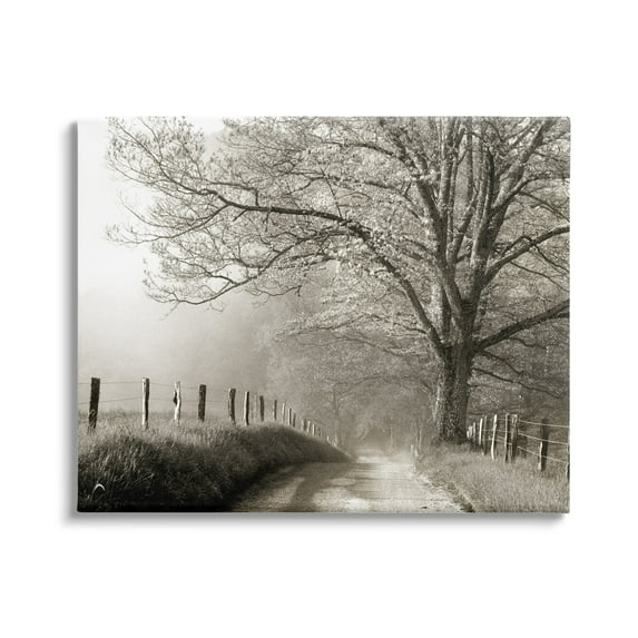 Stupell Rural Scenery Fenced Path Landscape Photography Gallery Wrapped Canvas Print Wall Art