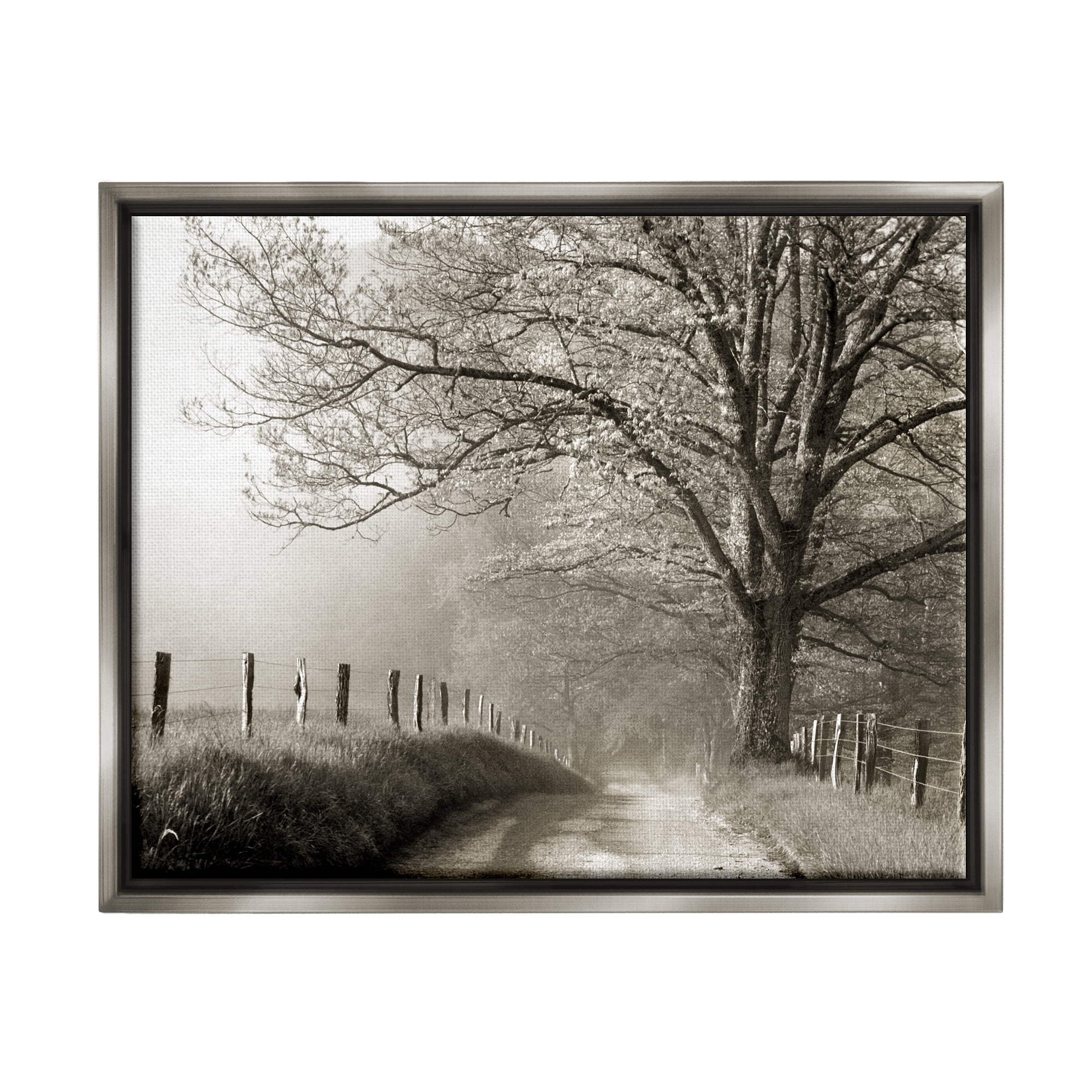 Stupell Rural Scenery Fenced Path Landscape Photography Gray Floater Framed Art Print Wall Art
