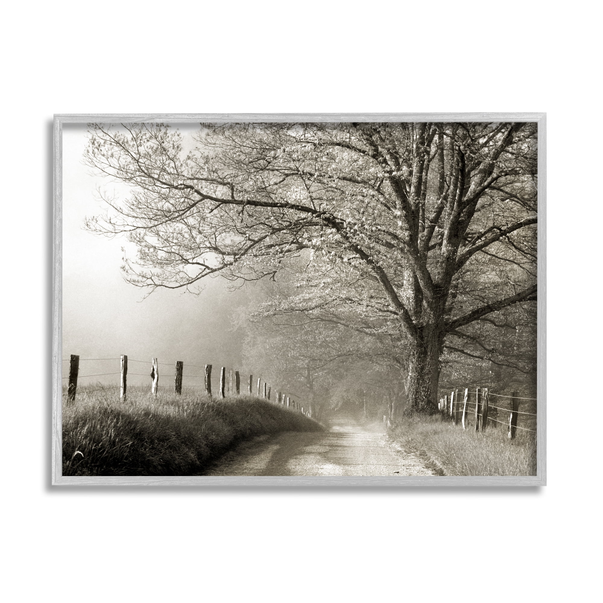 Stupell Rural Scenery Fenced Path Landscape Photography Gray Framed Art Print Wall Art