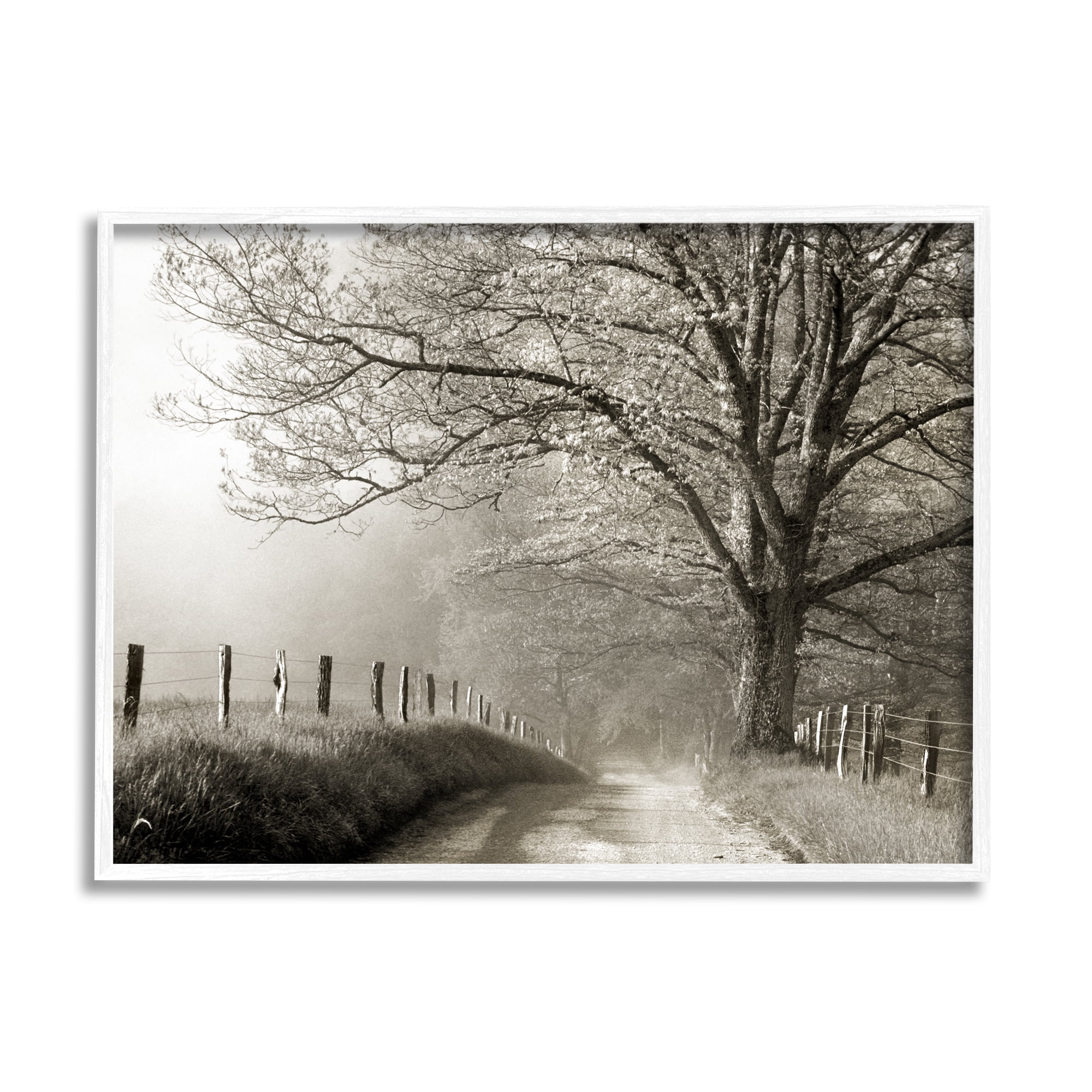 Stupell Rural Scenery Fenced Path Landscape Photography White Framed Art Print Wall Art