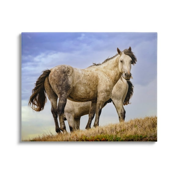 Stupell Rural Stallions Country Wildlife Animals & Insects Photography Gallery Wrapped Canvas Print Wall Art