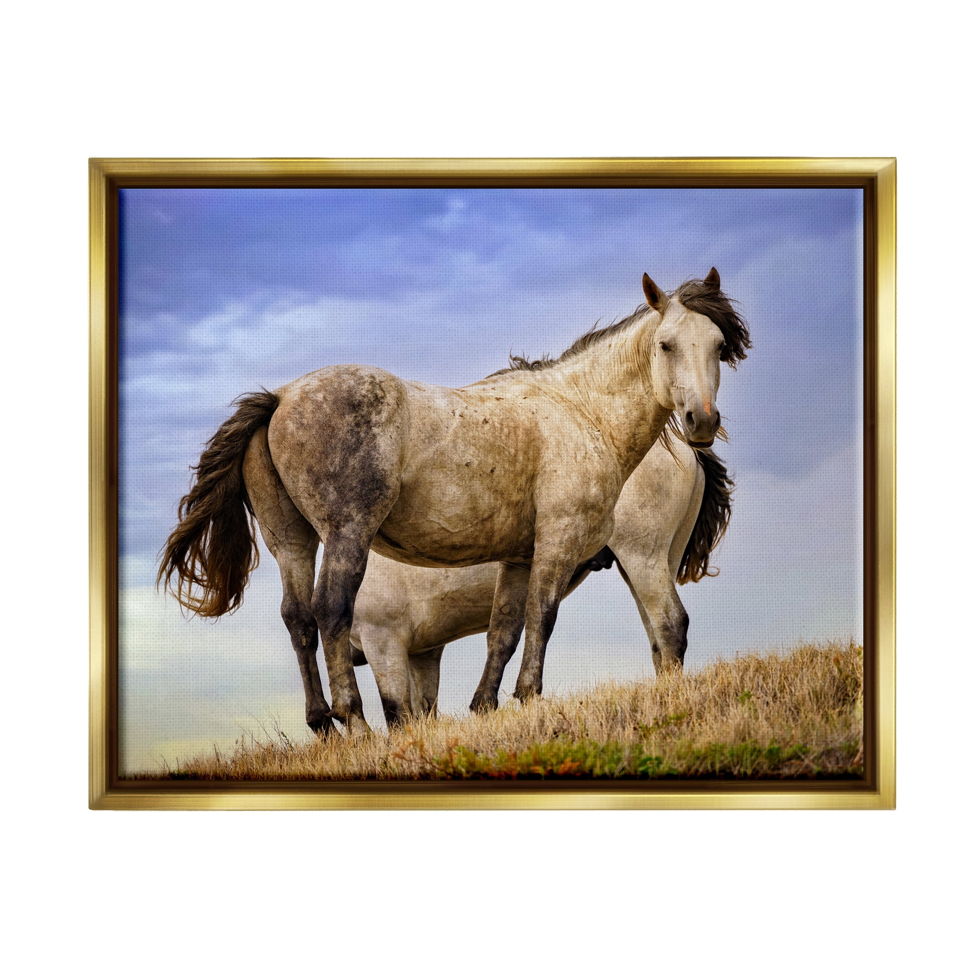 Stupell Rural Stallions Country Wildlife Animals & Insects Photography Gold Floater Framed Art Print Wall Art
