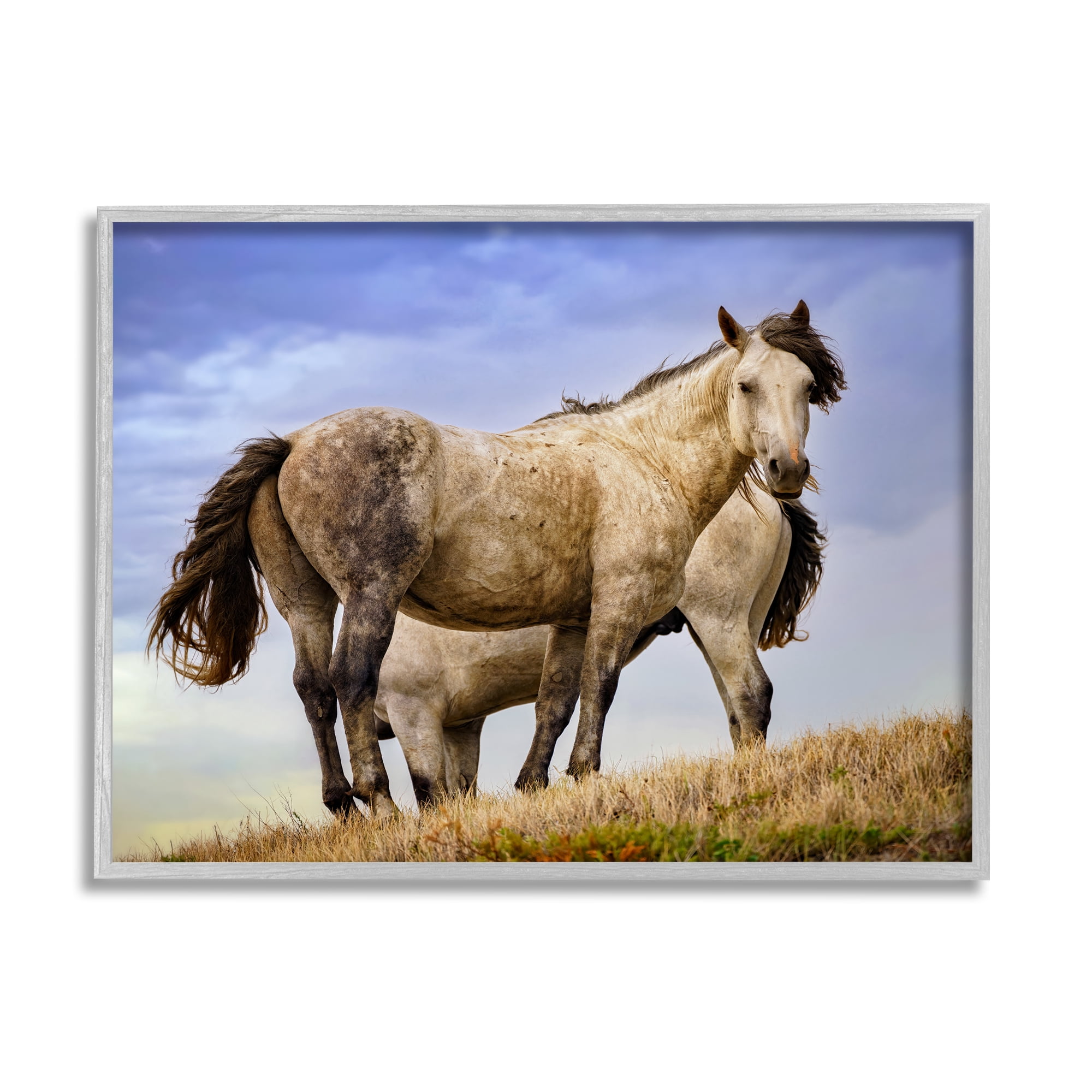 Stupell Rural Stallions Country Wildlife Animals & Insects Photography Gray Framed Art Print Wall Art