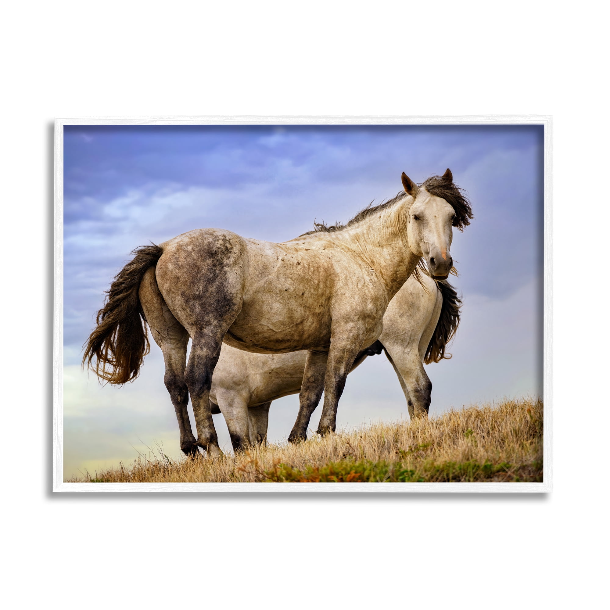 Stupell Rural Stallions Country Wildlife Animals & Insects Photography White Framed Art Print Wall Art