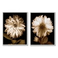 thumbnail image 1 of Stupell Sepia Chrysanthemum Flower Blooms Botanical & Floral Photography Gray Framed Art Print Wall Art, Set of 2, 1 of 8