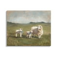 thumbnail image 1 of Stupell Sheep & Lamb Family Rural Grazing Animals & Insects Painting Gallery Wrapped Canvas Print Wall Art, 1 of 5