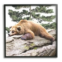 Stupell Sleeping Brown Bear Wildlife Animals & Insects Painting Black Framed Art Print Wall Art