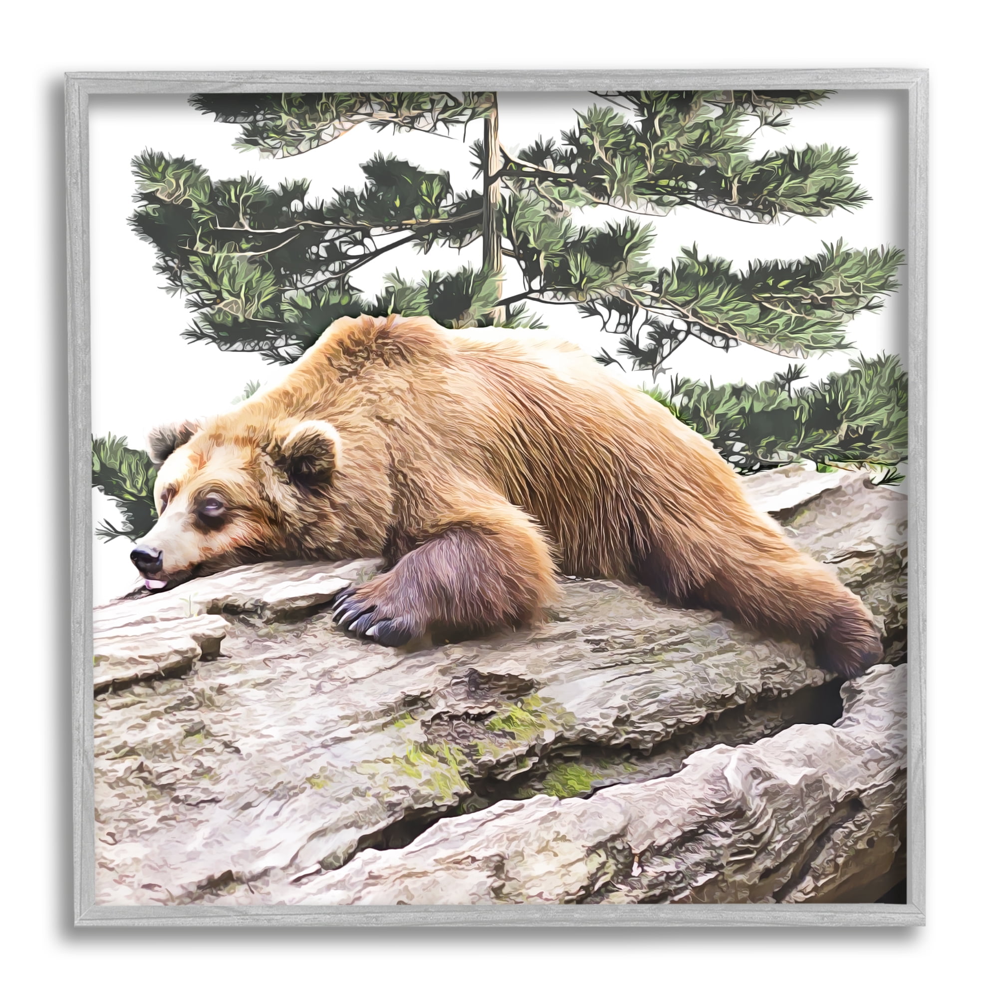 Stupell Sleeping Brown Bear Wildlife Animals & Insects Painting Gray Framed Art Print Wall Art